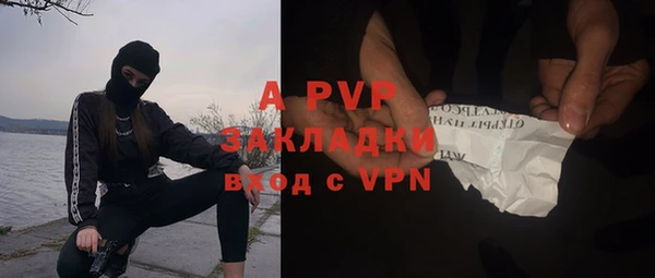 винт Лабытнанги