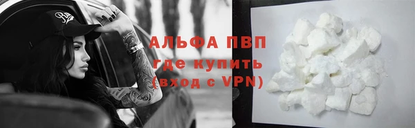 винт Лабытнанги