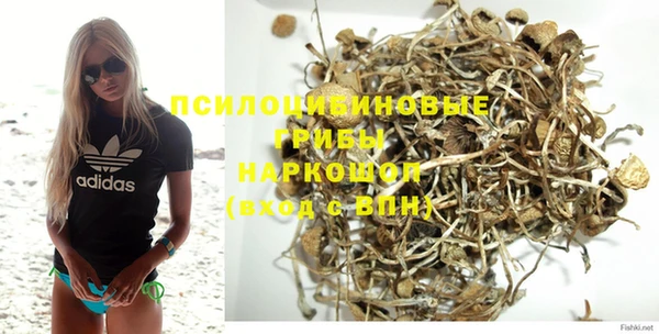 винт Лабытнанги
