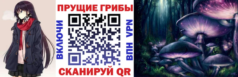 Галлюциногенные грибы MAGIC MUSHROOMS  Купить где  Светлый 